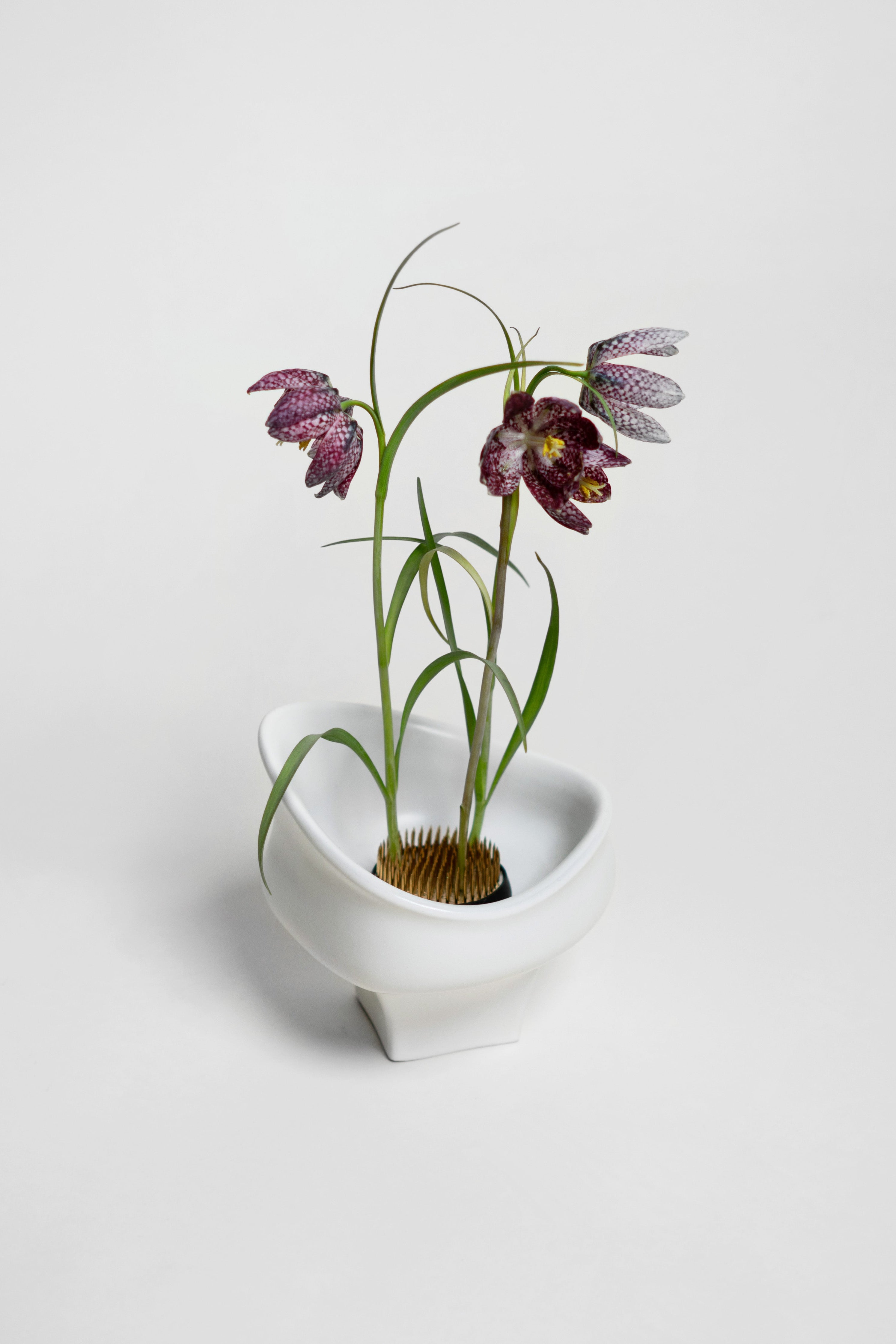 Kenzan blomsterholder - 60 mm.